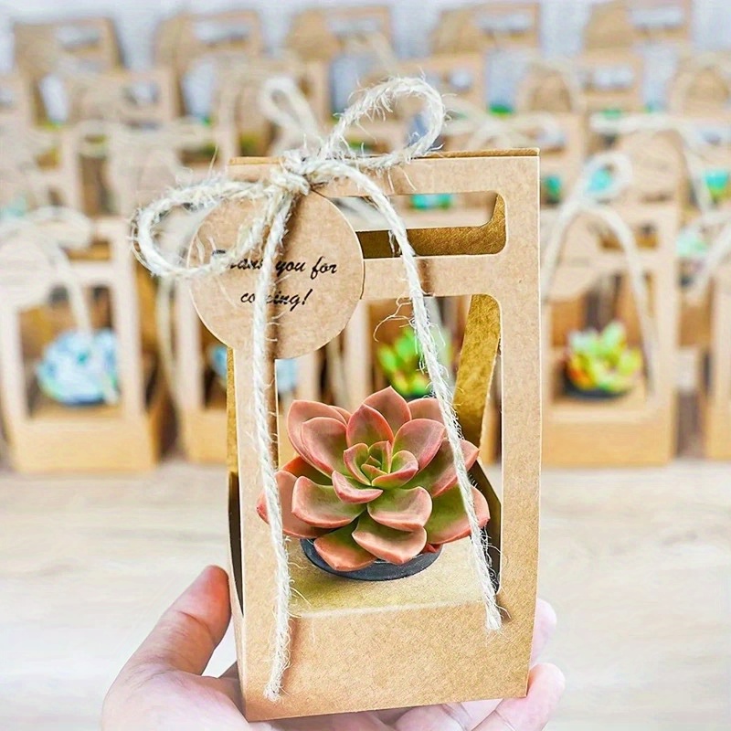 多肉植物用ギフトバッグ10個セット、空白のタグと紐付き、パー - Flower Wrap Kraft のレビューと価格