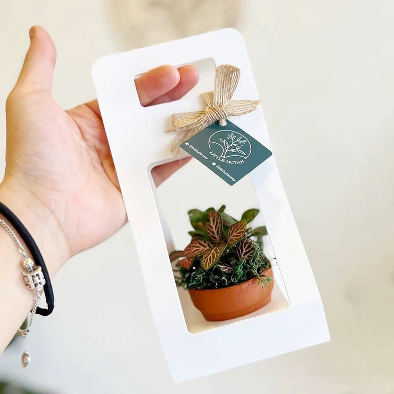多肉植物用ギフトバッグ10個セット、空白のタグと紐付き、パー - Flower Wrap Kraft のレビューと価格
