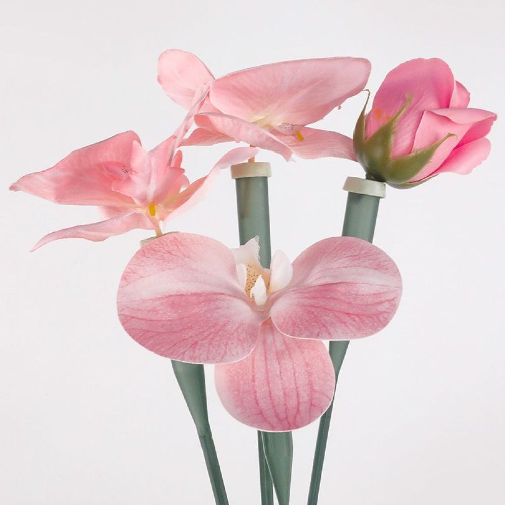 花用保存剤チューブ 透明プラスチックバイアル 生花ブーケ用  - The Florist Supply Shop のレビューと価格